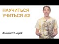 Научиться учиться #2: Писать ручкой / Декомпозиция / Дистанционное vs очное обучение