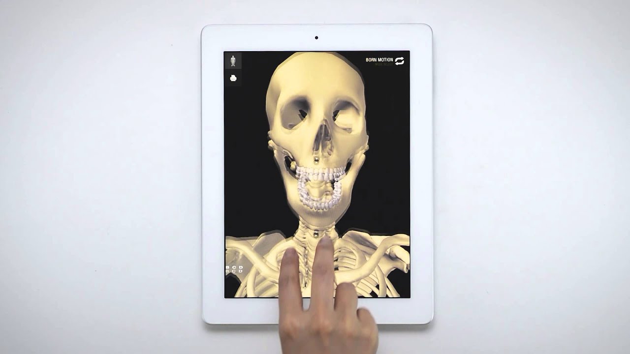 teamLabBody 3D Motion Human Anatomy - BONE MOTION MODE - YouTube