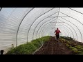 Still Planting And Growing Food In December