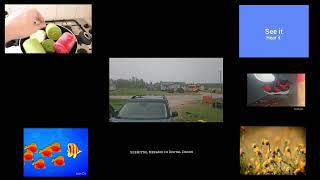 9 Screamers All Once V2