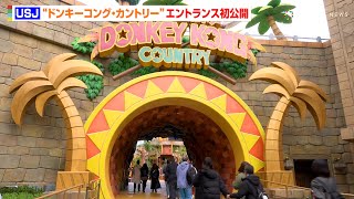 【USJ】新エリア『ドンキーコング・カントリー』エントランスが初お披露目！ワイルドな大冒険が待ち受けるエリアを一足早く体験するゲストも
