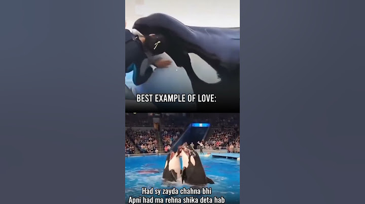 Jessica is no America 🐬🐬🐬🐬