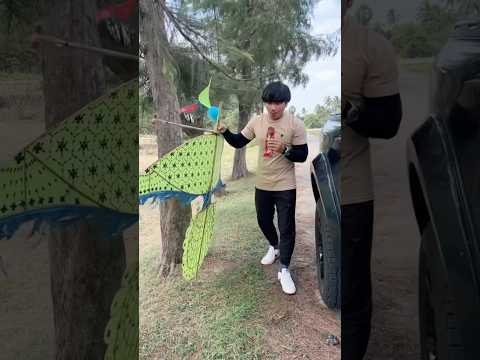 ว่าวนกยูงตัวนี้คึกคักมาก🦚ลองด ใครจะทำได้ไหม มาลุ้นกัน ลองดู รู้หรือไม่ ฝากติดตาม ช่องยูทูป พี่นนท์ ครอบครัวเอ็นจอย