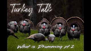 What Is Drumming Pt. 2 - Turkey Talk - Understanding Turkey - Turkey Hunting
