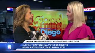 Helen Woodward Animal Center is Going to Puppy Bowl! by Helen Woodward Animal Center 69 views 3 months ago 3 minutes, 7 seconds