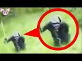 Jaw Dropping Mysterious Videos You Have to See