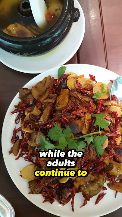 Try the LATEST YUN NANS Kids Menu - 4 Well-balanced Sets for ALL Little Ones!
