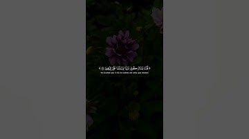 قالَ أَفَتَعبُدونَ مِن دونِ اللَّهِ ما لا يَنفَعُكُم شَيئًا وَلا يَضُرُّكُم ｜ سورةالأنبياء ｜الدوسري