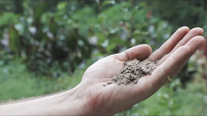 Survival Gardening Secrets (That Even Work in Lousy Dirt) - Complete Presentation - DayDayNews