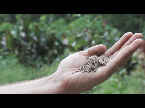 Videó: Mi az a túlélőkert – Tudjon meg többet a Family Survival Gardensről