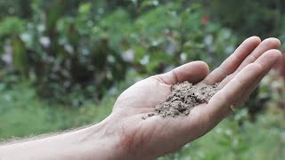 Survival Gardening Secrets (That Even Work in Lousy Dirt) - Complete Presentation