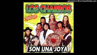 Video thumbnail of "Los Charros - Hasta que te conoci"