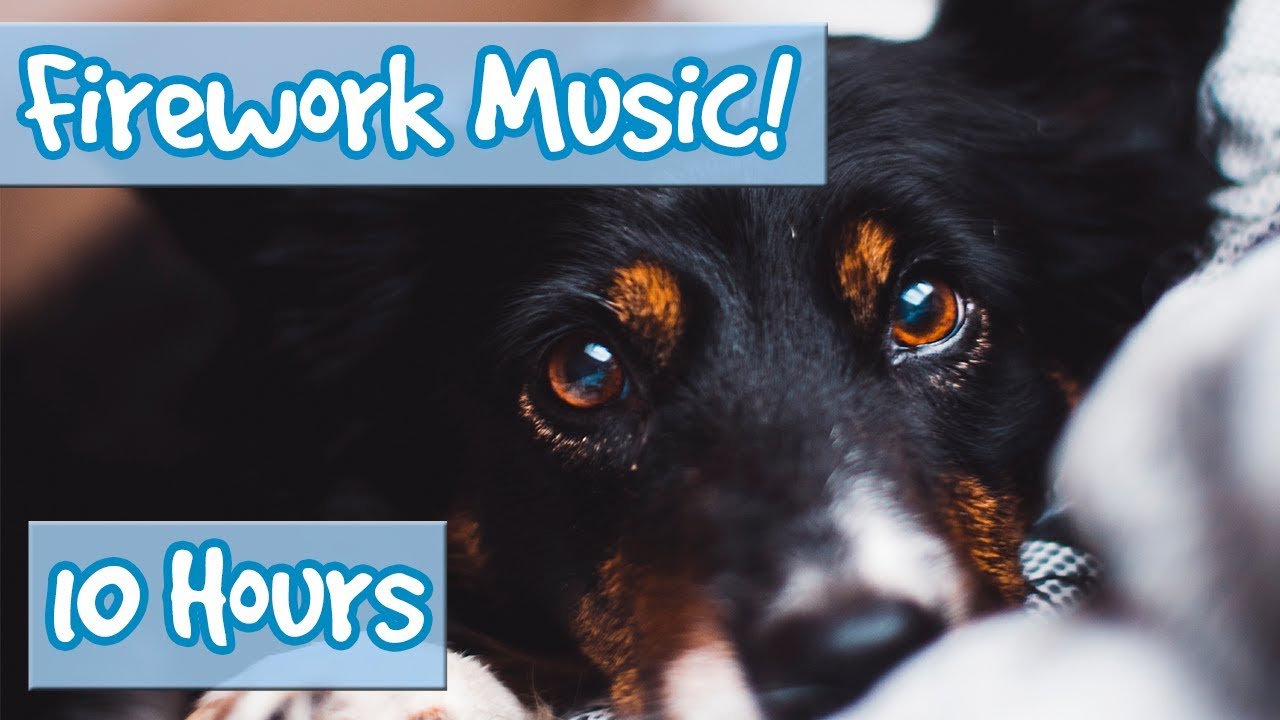 music to keep dogs calm