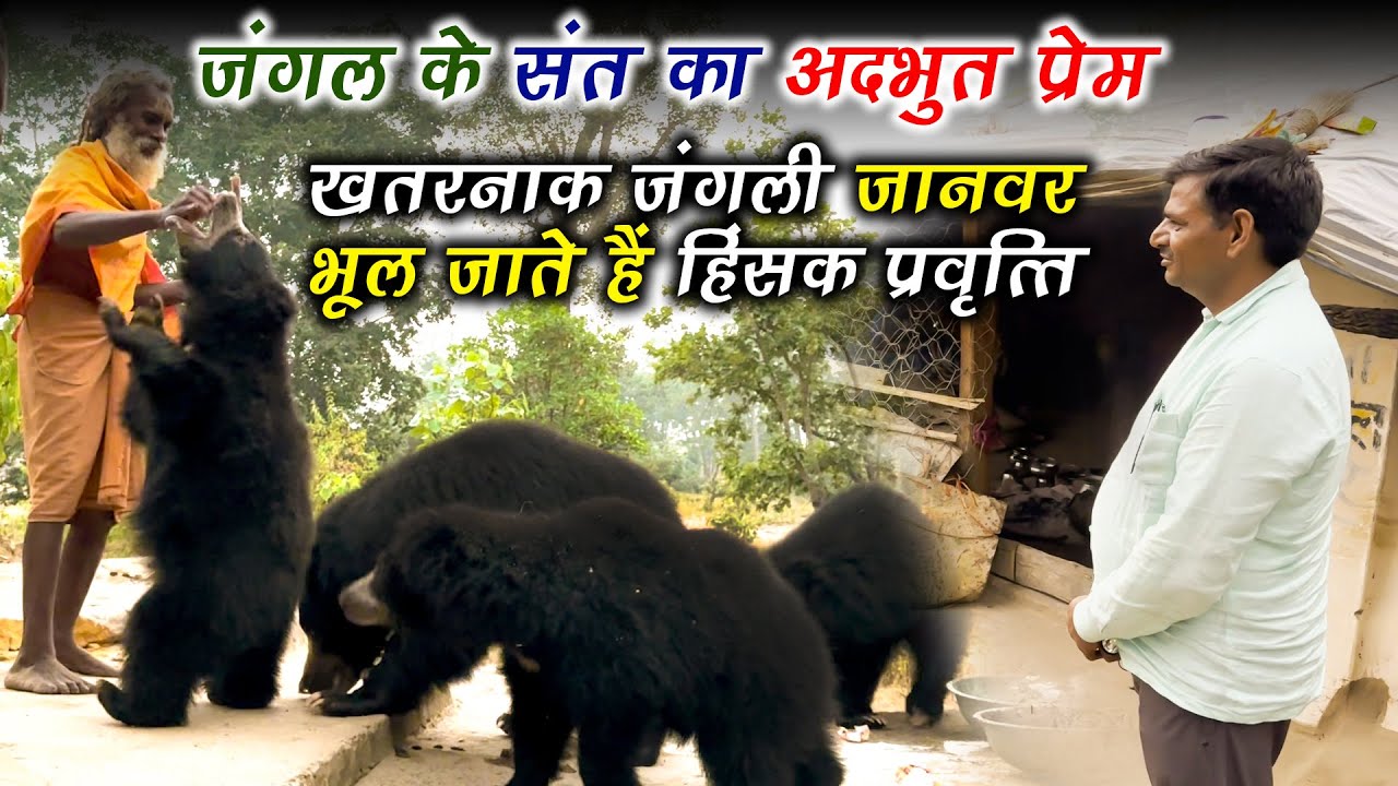 संत का प्रेम देख खतरनाक जानवर भी बदल देते हैं हिंसक प्रवृत्ति 