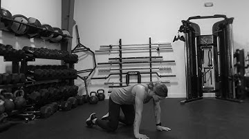 Quadruped Scapular Push-Up