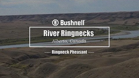 S6E09 River Ringnecks
