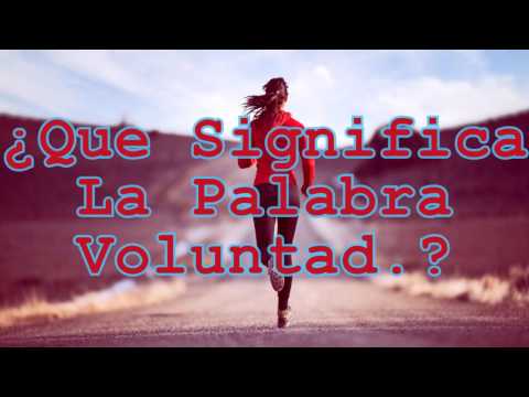 Video: Voluntad De Significado