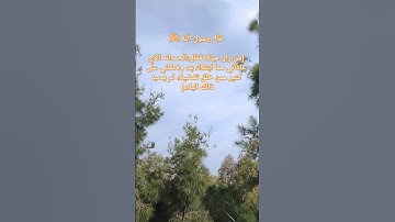 #قال رسول الله ﷺ #اكسبلور #قرآن #دويتو #explore #reels #ترند #اذكار #لايك