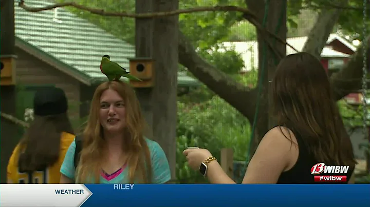 Summer interns acquaint themselves with Topeka, other interns at TopCity Interns welcome party