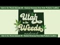 How Did Marijuana Become Legal in Utah? Interview w/Desiree Hennessy | Utah in the Weeds Episode #6