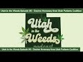 How Did Marijuana Become Legal in Utah? Interview w/Desiree Hennessy | Utah in the Weeds Episode #6