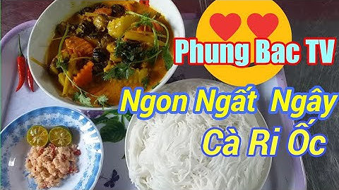 Cà Ri Ốc Nước cốt dừa/Snail curry-coconut - phùng bắc tv #44