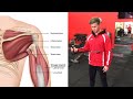 Are External Rotation Rotator Cuff Strengthening Exercises Ruining Your Shoulder?