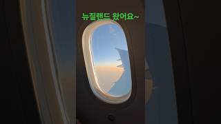 #33개월아기 첫비행을 경험한 아이의 리얼반응 #뉴질랜드 #shorts #사랑리나 #아기 #육아 #육아브이로그 #비행기 #해외여행 #다둥이 #이륙 #착륙 #성공