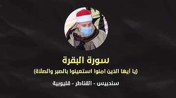الشيخ حجاج الهنداوى | سورة البقرة  (سندبيس - القناطر)