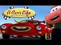 A cars life is a horrific nightmare