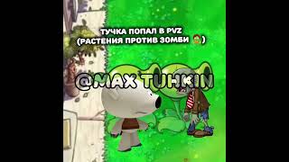ТУЧКА ПОПАЛ В PVZ #мимимишки #pvz