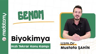 12 Genetik Bilginin Depolanması Ve İfade Edilmesi