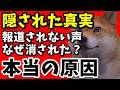 【フジテレビ】隠蔽か?辺野古事故の真相…報道されない“決定的部分”