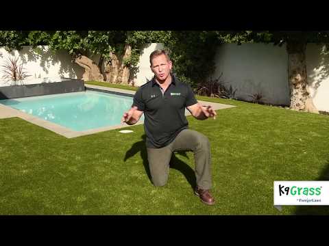 see-why-brian-samuels-recommends-k9grass-by-foreverlawn