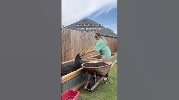 it’s that time!🌱 #gardeningtips #gardening #vegetablegarden #homegardening #backyardgardening #diy