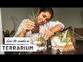 How to Make a Cute Terrarium| Super Easy and Quick