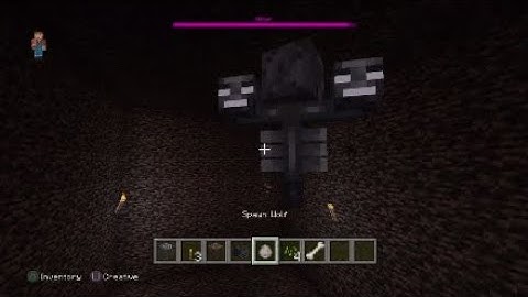 Minecraft Wither vs Wolf