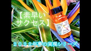 カルマの浄化 Karma Clear【アンシェントメモリーオイル 2023年限定版