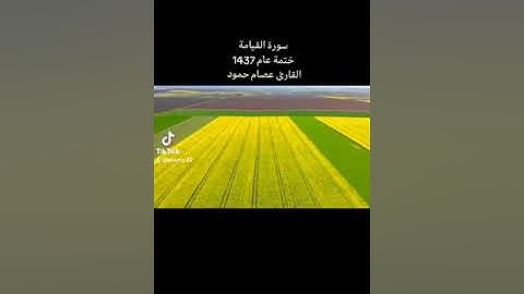 سورة القيامة. ختمة عام 1437 #القارئ_عصام_حمود