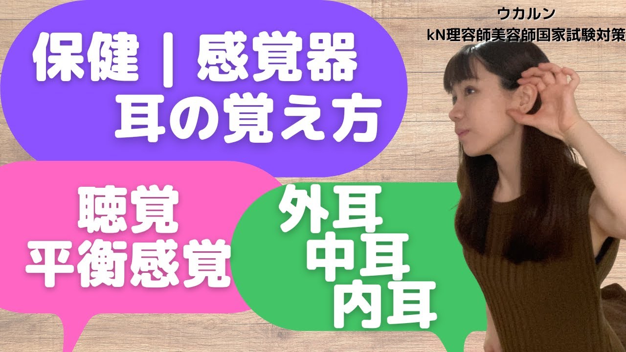 【保健｜人体】感覚器の耳！覚え方