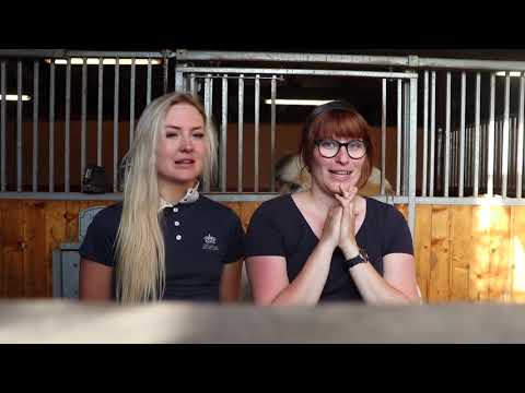 Video: Vad Du Kan Förvänta Dig Innan Du Får Din Första Häst