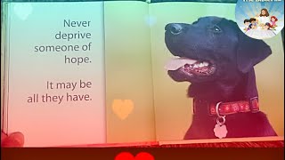 Wise Dogs 🐕 by H. Jackson Brown Jr. Read- Aloud book for Doglovers!  #thebibleflix #booksbeforebed
