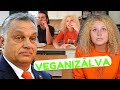 ORBÁN VIKTOR napja VEGANIZÁLVA