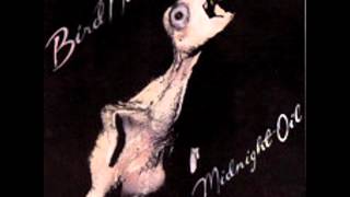Video voorbeeld van "Midnight Oil - 2 - Knife's Edge - Bird Noises (1980)"