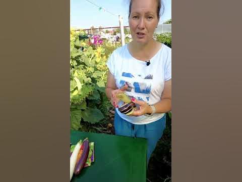 ЗАМОРОЗКА БАКЛАЖАНА ЦЕЛИКОМ #shorts - YouTube