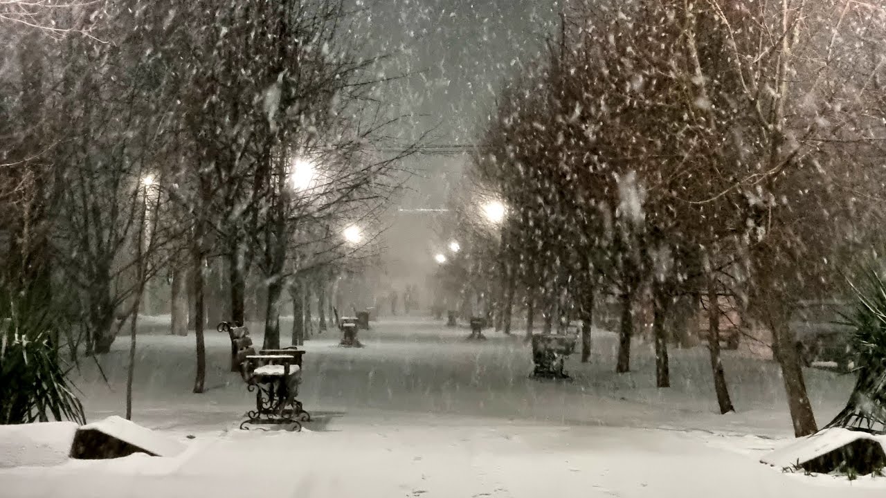 Audi a6 зимой. холод 14. холодильная 14 тюмень фото. холодильная, 15/1. холодильная улица, 14.