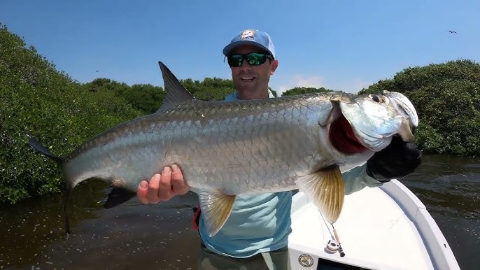 My 9 Weight Rods for Tarpon Town // Gear Review 