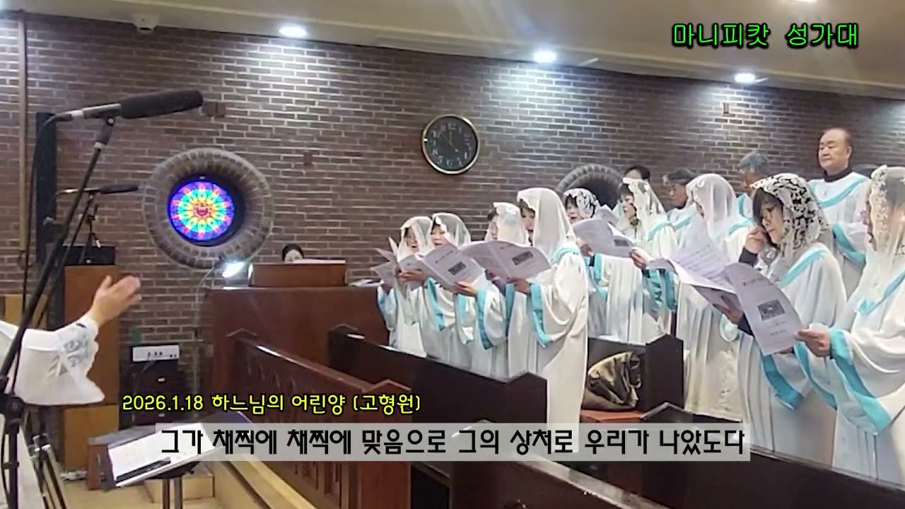 하느님의 어린양 (고형원) / 일산성당 마니피캇 성가대
