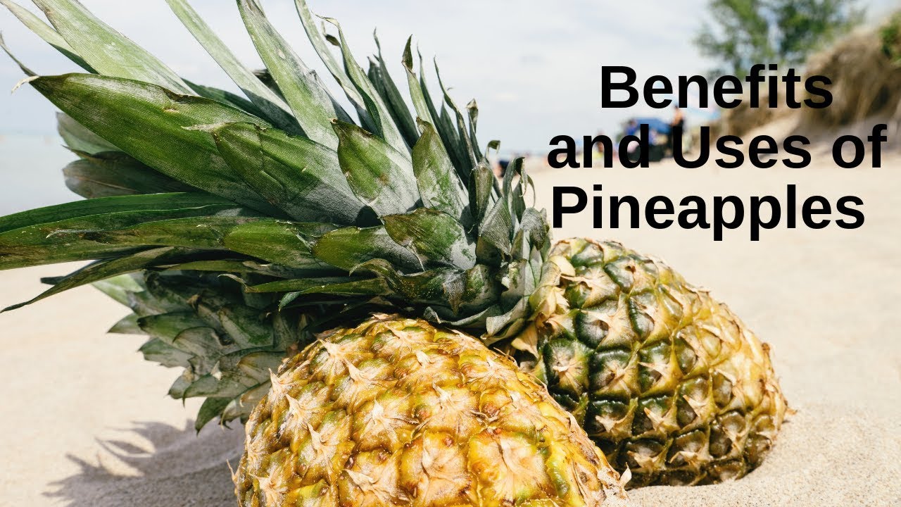 Benefits and uses of Pineapple - YouTube