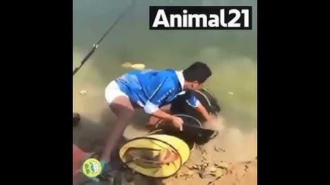 I am ready to use this grassfish ... ^ _ ^